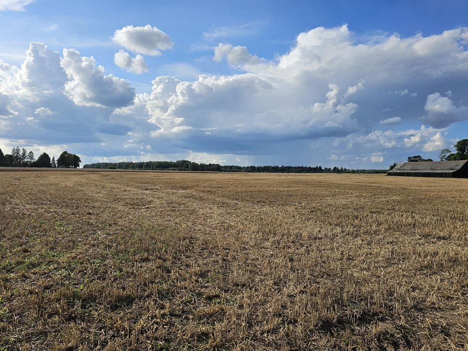 Full-day fieldwork at selected locations in South Courland