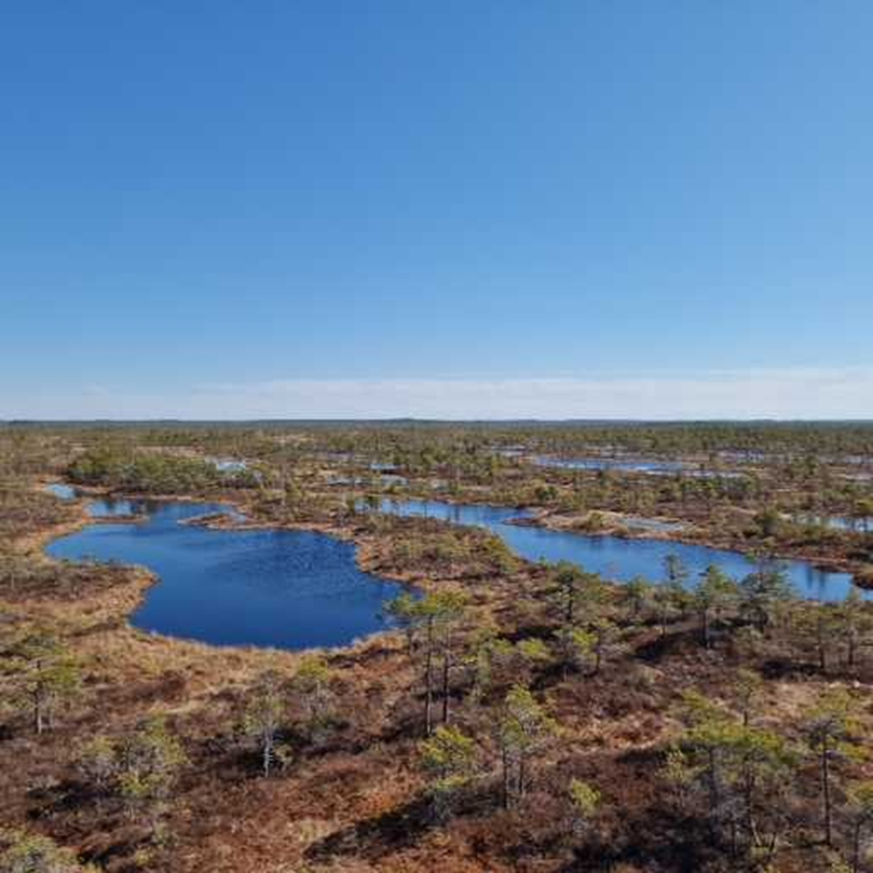 Great Ķemeri Bog Boardwalk