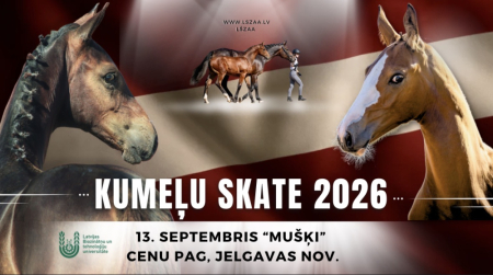 Kumeļu skate
